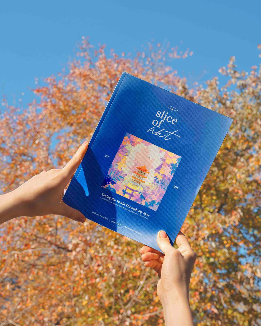 Singapore Landmark Zine