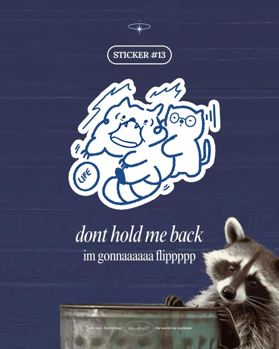 Physical Stickers - Raccoon Rage